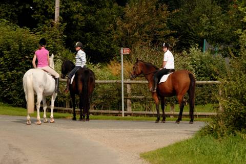 Luxury Log Cabin Riding Holiday