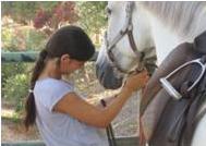 Horses are good for the soul