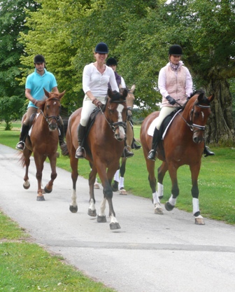 How horse riding can benefit your mental health