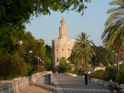 Ride Donana National Park & Seville