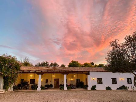 Luxury Riding Holiday Jerez