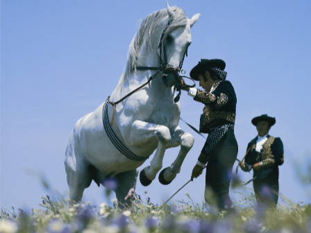 Luxury Riding Holiday Jerez
