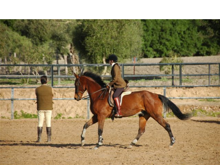 Luxury Riding Holiday Jerez