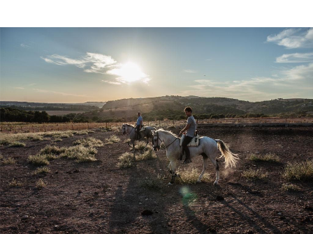 Luxury Riding Holiday Jerez