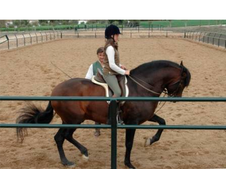 Luxury Riding Holiday Jerez