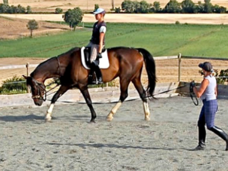 Dressage Break Cheshire