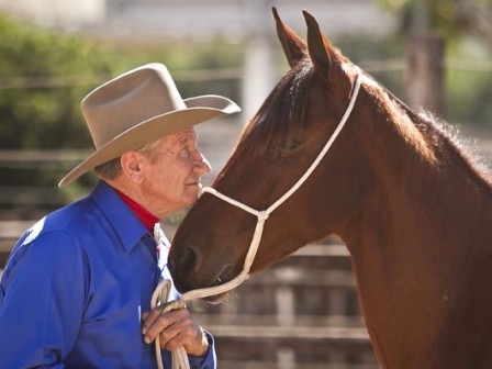 All you need to know about Natural Horsemanship