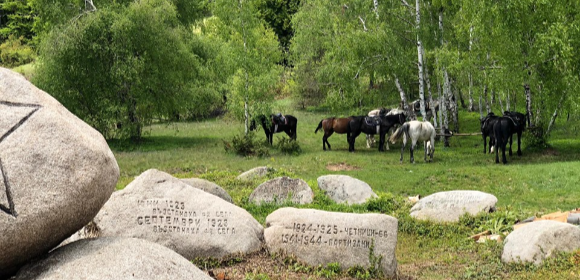 Spa & Ride - Thracian Valley