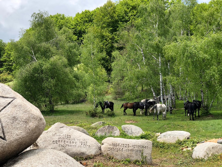 Spa & Ride - Thracian Valley