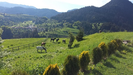 Rhodope Mountain PanoramaTrail 