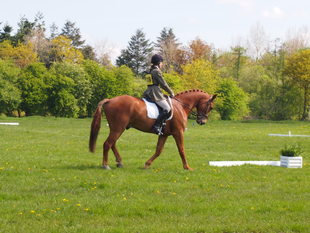 Equestrian Holidays  Dressage Riding Holidays  Dressage Weekends