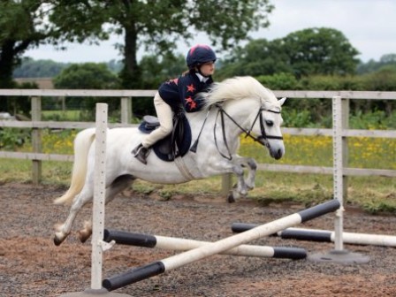 Unaccompanied Riding in Cirencester 