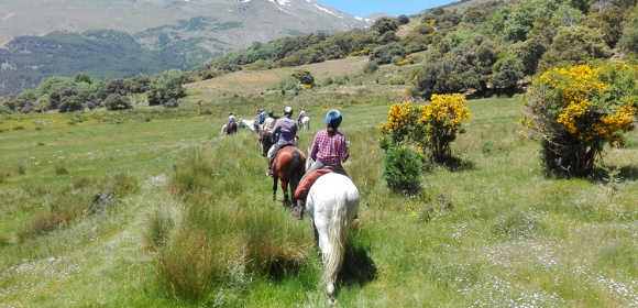 Alpujarra Short Trail Riding Break