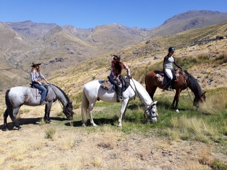 Sierra Nevada Trail Ride 