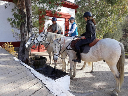 Sierra Nevada Trail Ride 