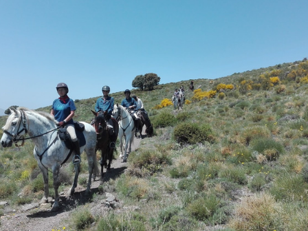 Alpujarra Short Trail Riding Break