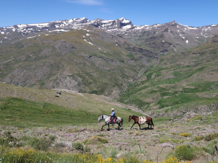 Sierra Nevada Trail Ride 