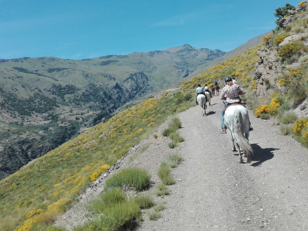 Alpujarra Short Trail Riding Break