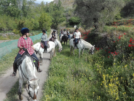 Alpujarra Short Trail Riding Break