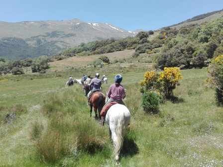 Sierra Nevada Trail Ride 