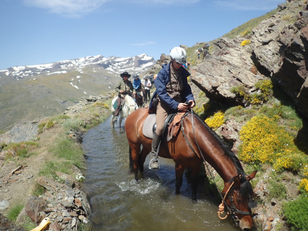 Sierra Nevada Trail Ride 