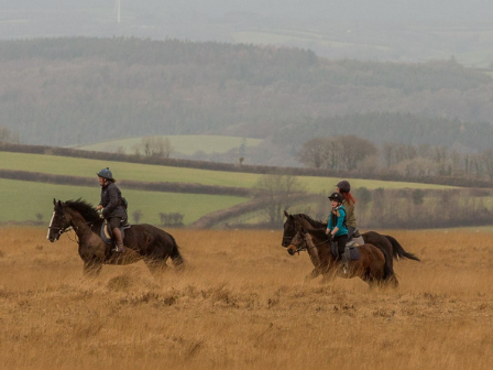 Explore Dartmoor 