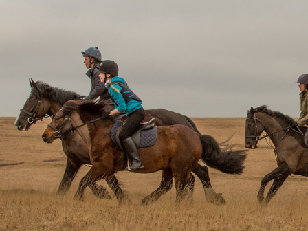 Explore Dartmoor 