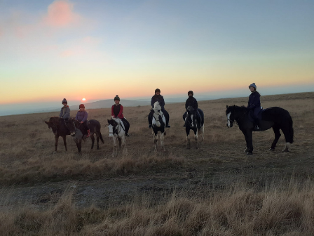 Explore Dartmoor 