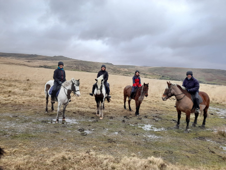 Explore Dartmoor 