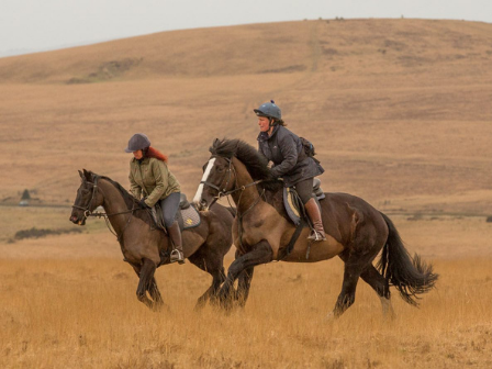 Explore Dartmoor 