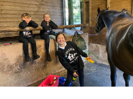 Family Riding Holiday Devon