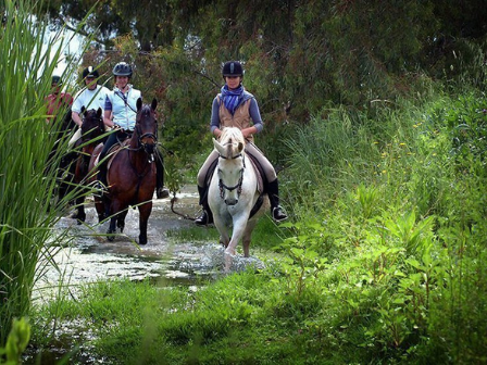 Seville & Doñana Ride  