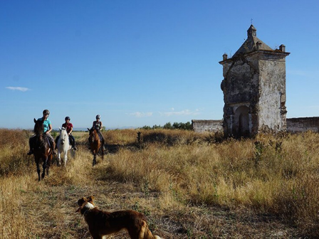 Seville & Doñana Ride  