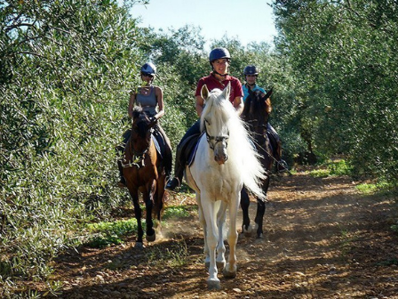 Seville & Doñana Ride  