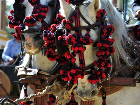 Horses, Sun and Wine