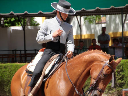 Horses, Sun and Wine