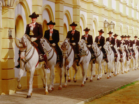 Horses, Sun and Wine