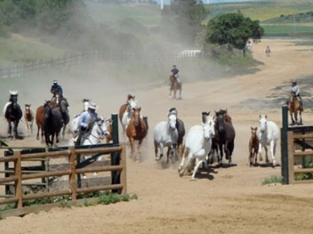 Ranch riding in Andalucia 