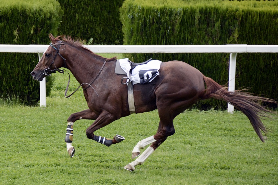 F is for Frankel