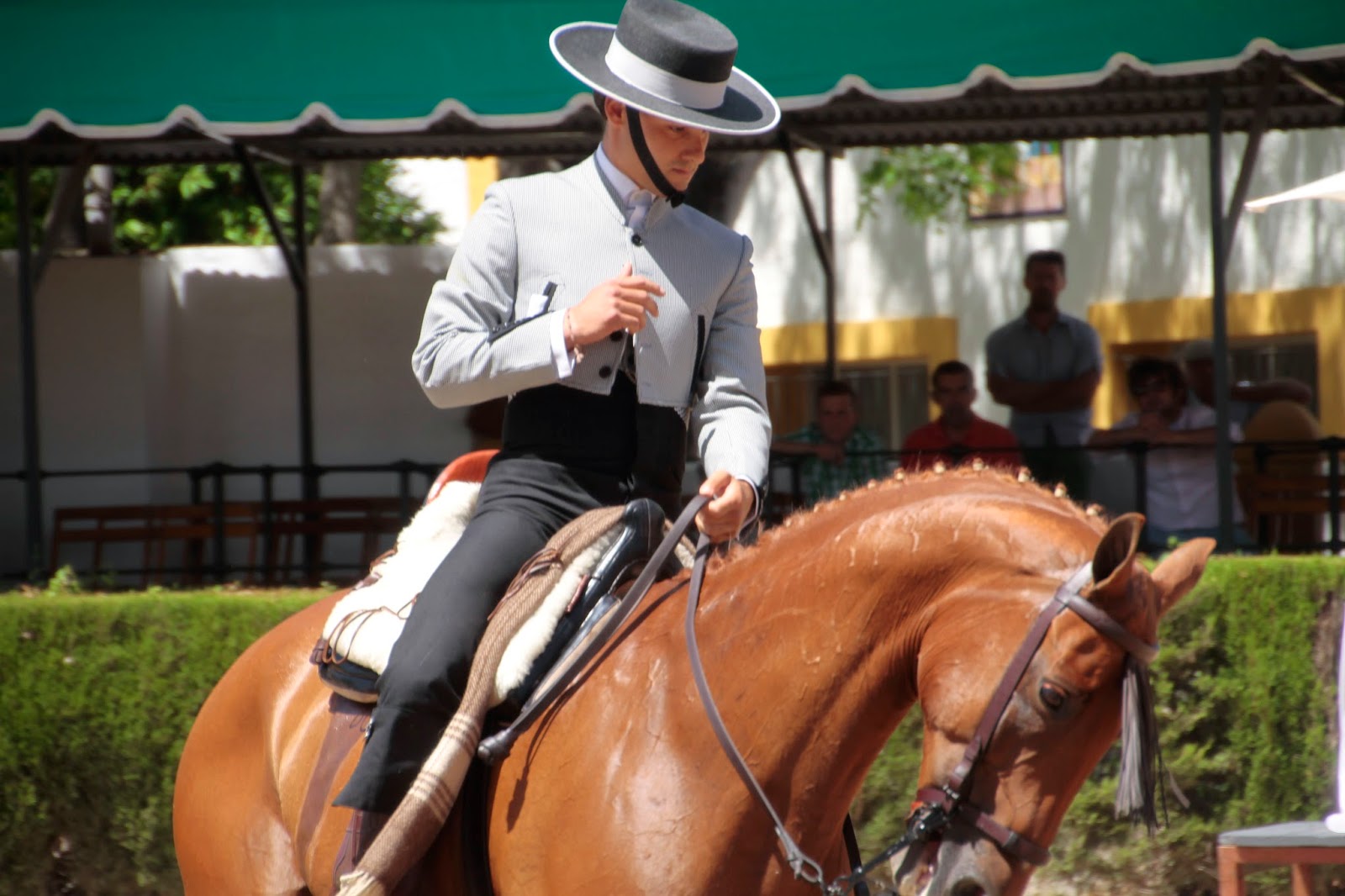 Equestrian Escapes Feature In The Telegraph Top 10 Riding Holidays