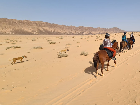 Jordon Desert Trail Ride 