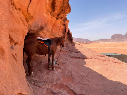 Jordon Desert Trail Ride 