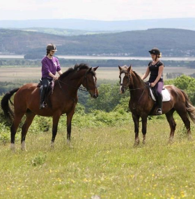 Equestrian Escapes News