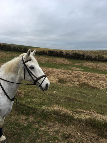 West Sussex Riding Holiday