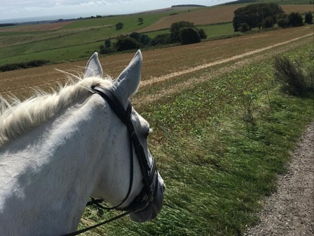 West Sussex Riding Holiday
