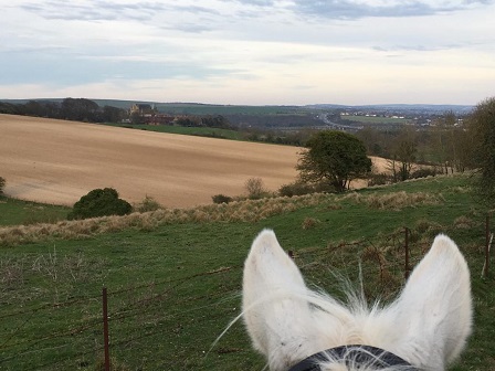 West Sussex Riding Holiday