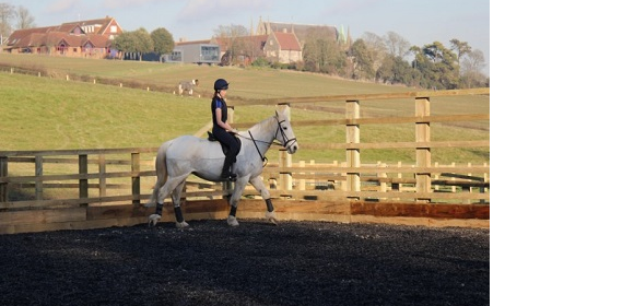 West Sussex Riding Holiday