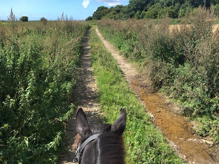 West Sussex Riding Holiday