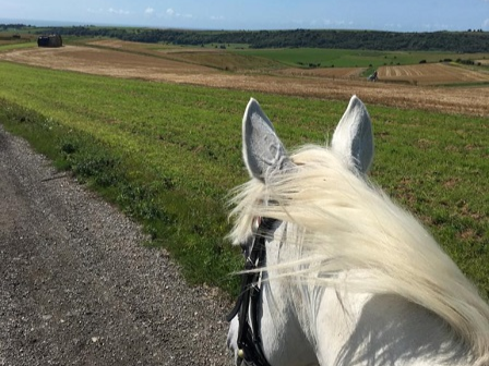 West Sussex Riding Holiday