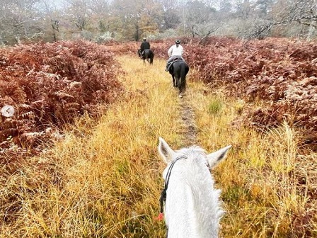 Explore the Beautiful Loire Valley on Horseback 